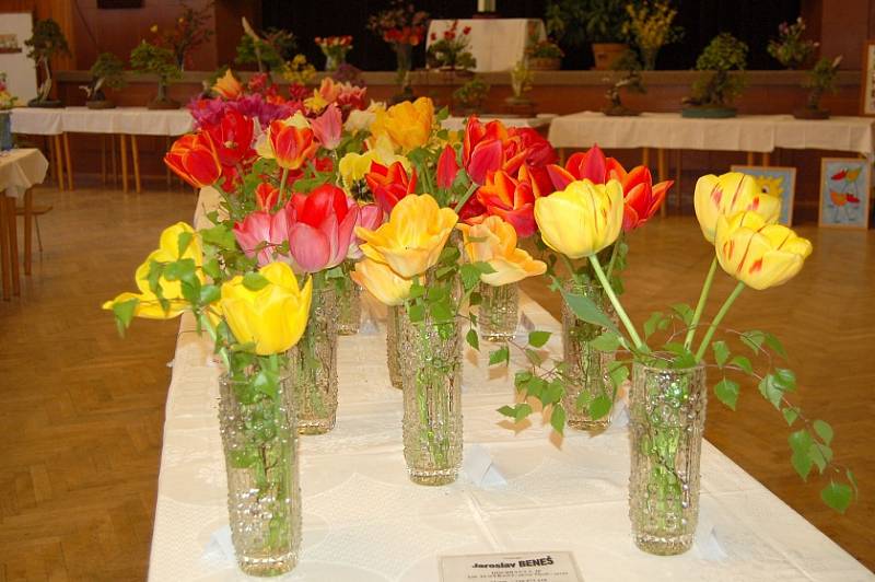 Jarní výstava květin ve Staňkově.