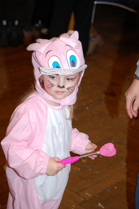 Karneval Na Divokém západě pořádala PS Mír Domažlice.