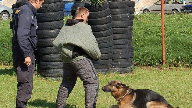 Z krajského policejního přeboru psovodů