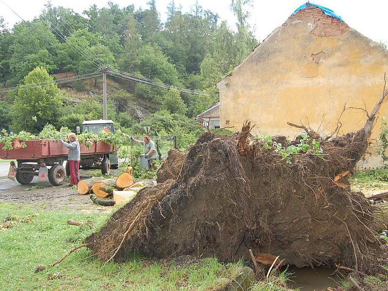 V Podrážnici vítr vyvrátil lípu, ktrá spadla na rodinný domek