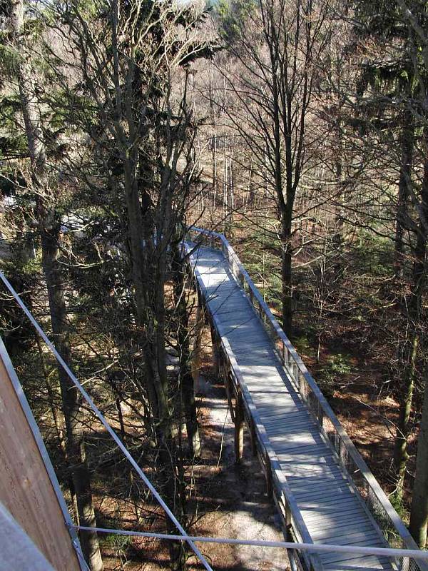 Stezka nad stromy (Baumwipfelpfad). 