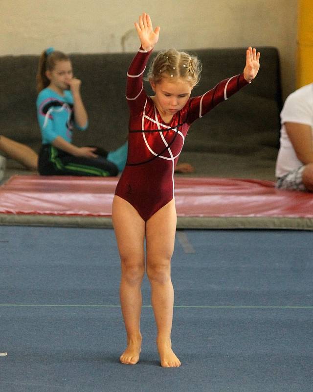 Cena Chodska ve sportovní gymnastice v Domažlicích. 