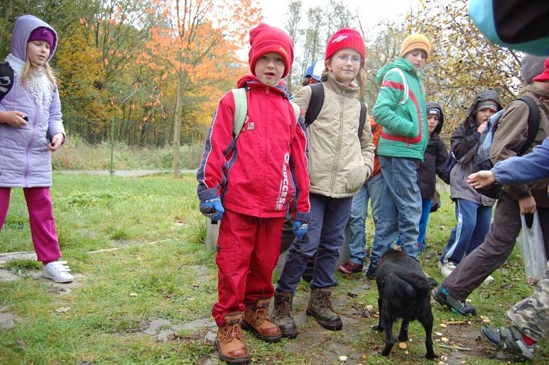 Děti na návštěvě záchytné stanice pro psy na Valše.