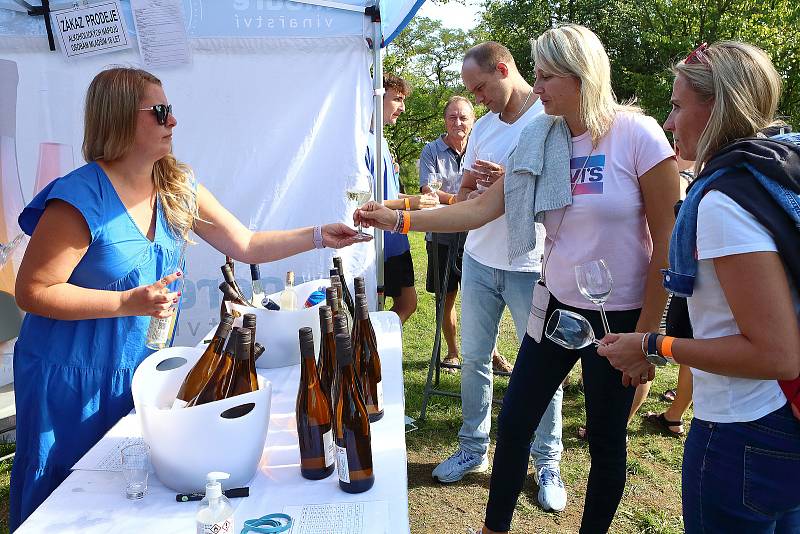 Litická hradní slavnost – sousedské setkání na místě bývalého hradu.