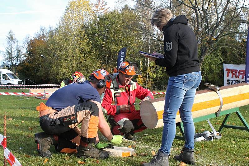 Profesionální dřevorubci soutěžili v pěti disciplínách.