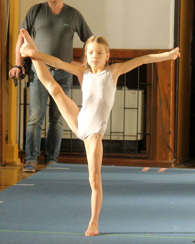 Cena Chodska ve sportovní gymnastice v Domažlicích. 