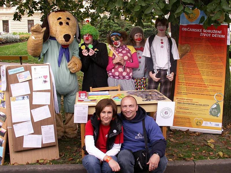 Z jednoho z předchozích ročníků sbírky Srdíčkový den v Domažlicích.