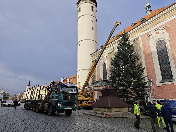 Instalace vánočního stromu v Domažlicích na náměstí.