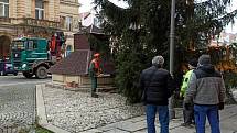 Vánoční smrk na náměstí v Domažlicích.