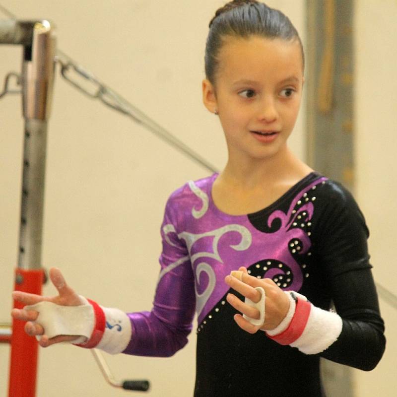 Cena Chodska ve sportovní gymnastice v Domažlicích. 