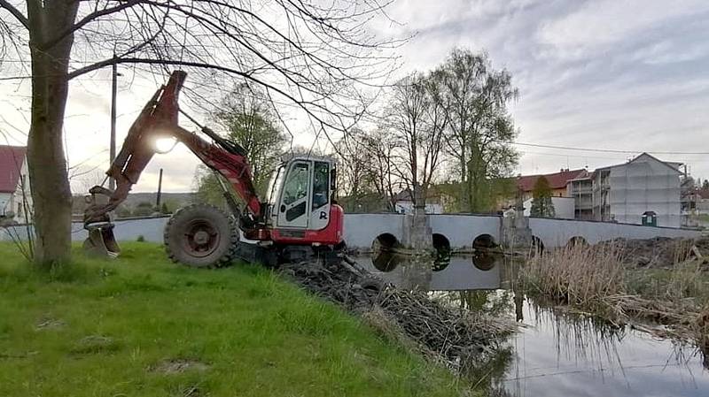 Kráčivý bagr v těchto dnech čistí koryto řeky v Bělé nad Radbuzou. Foto: Blanka Triščová