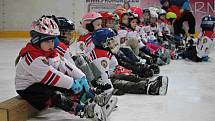 HC Domažlice spolu s hokejovým svazem pořádal náborovou a prezentační akci Pojď hrát hokej!