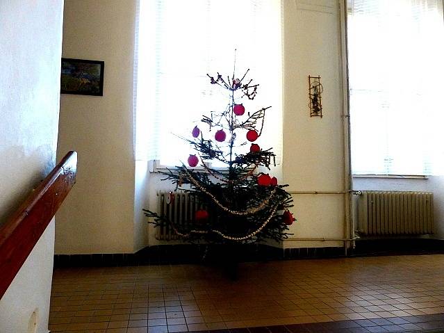 Z Vánoční výstavy v trhanovském zámku.