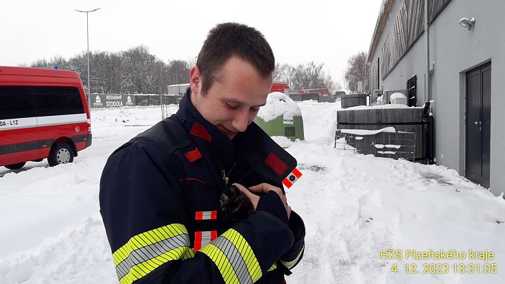 Zachráněné kotě adoptoval jeden z  hasičů.