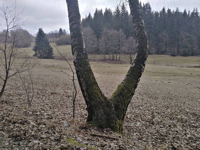 Výlet z Babylonu do Domažlic.