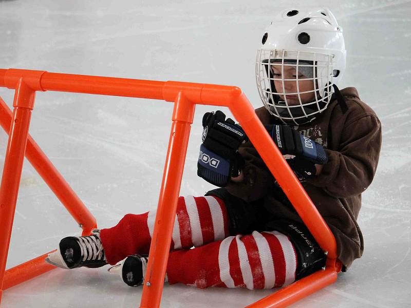 HC Domažlice pořádal za účasti extraligového hokejisty Plzně Jakuba Lva Den náborů.