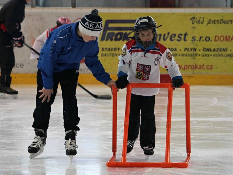 HC Domažlice spolu s hokejovým svazem pořádal náborovou a prezentační akci Pojď hrát hokej!