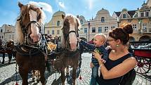 V Domažlicích se uskutečnil jubilejní ročník Svatováclavské jízdy.