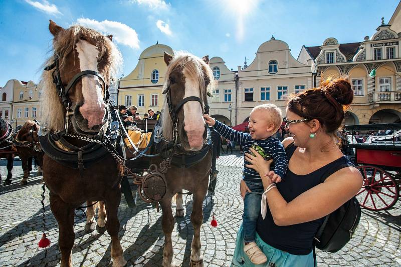 V Domažlicích se uskutečnil jubilejní ročník Svatováclavské jízdy.