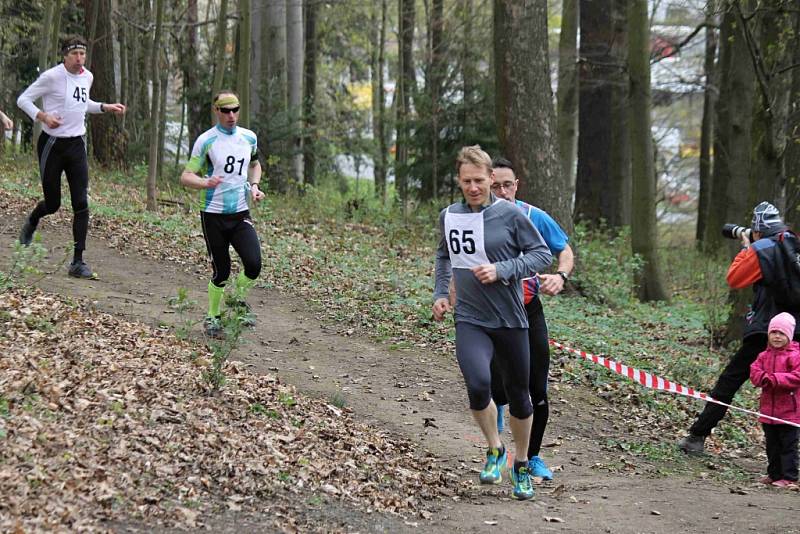 Závod Běh Škarmanem 2015 v Domažlicích.