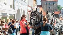 V Domažlicích se uskutečnil jubilejní ročník Svatováclavské jízdy.