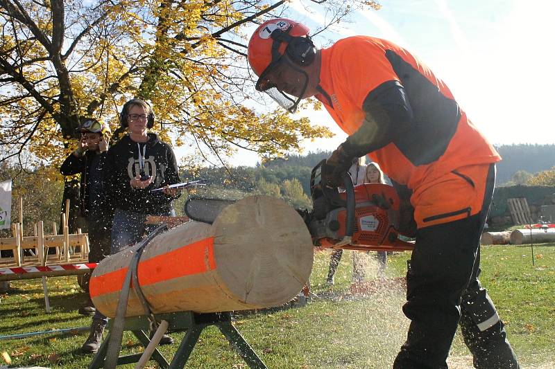 Profesionální dřevorubci soutěžili v pěti disciplínách.