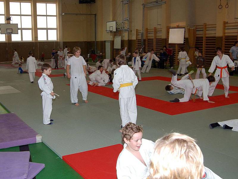 Fotoreportáž z 18. ročníku Memoriálu Petra Radoše v Domažlicích.