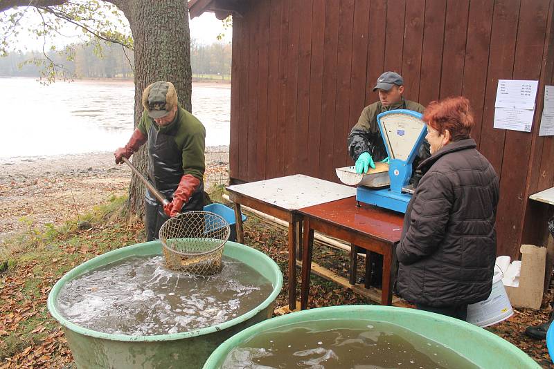 Středeční výlov Černého rybníka u Babylonu přilákal desítky zájemců, kteří si ryby na místě rovnou kupovali.