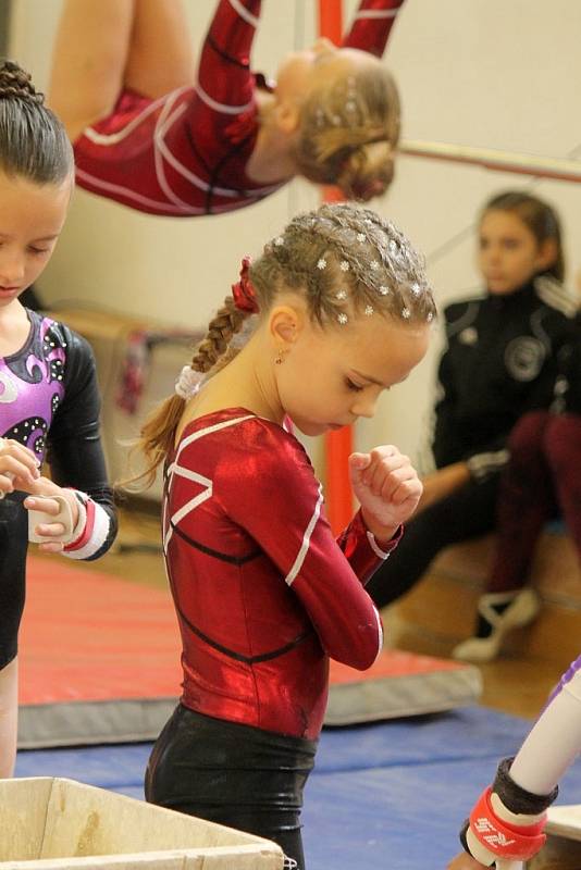 Cena Chodska ve sportovní gymnastice v Domažlicích. 