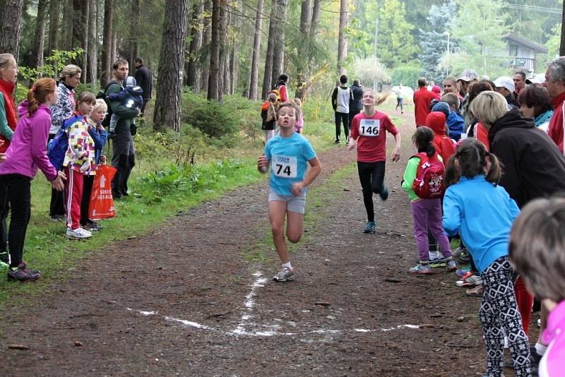 Fotoreportáž z 49. ročníku Běhu babylonskými lesy.