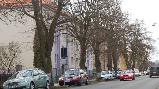 AUTA MEZI LÍPAMI. Nyní řidiči v Kozinově ulici parkují mezi vzrostlými stromy.