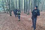 V pondělí odpoledne hledala ztracenou dívku v Českém lese na Domažlicku široká rojnice z policistů a hasičů.
