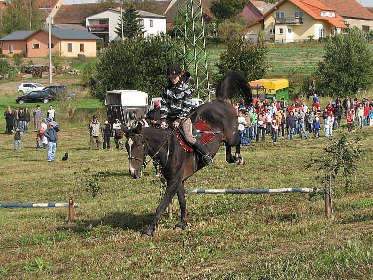 Z Hubertovy jízdy v Chrastavicích.