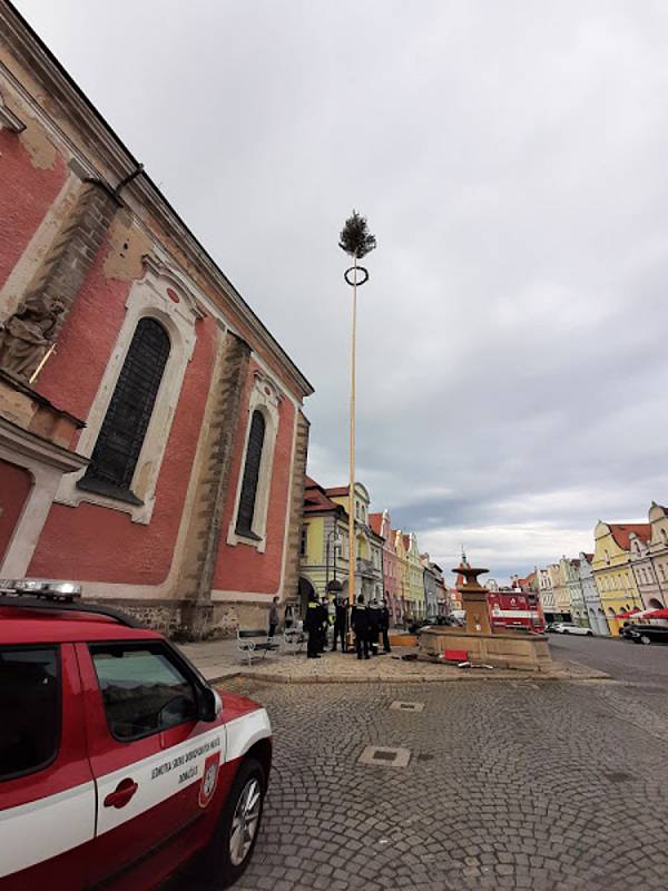 Dobrovolní hasiči z Domažlic letos opět navázali na tradici a postavili na náměstí májku. Foto: Martin Jurčo