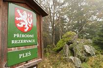 Přírodní rezervace Pleš chrání horský bukový prales, suťové javořiny a svahové bučiny, typické pro Český les. Území na vrcholu Velký Zvon je zvláště chráněno 90 let, a to od 14. listopadu 1931.