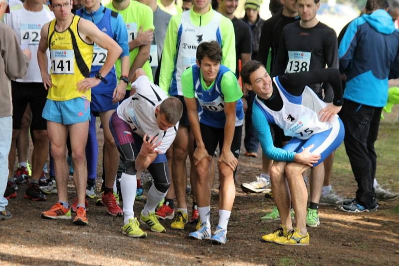 Fotoreportáž z 49. ročníku Běhu babylonskými lesy.