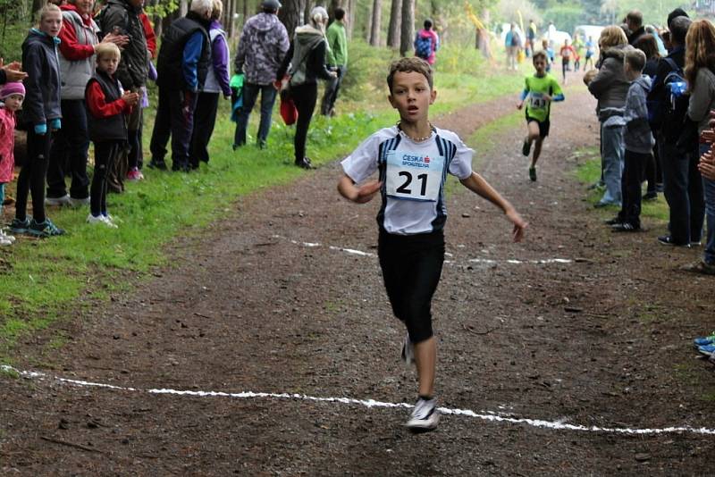 Fotoreportáž z 49. ročníku Běhu babylonskými lesy.