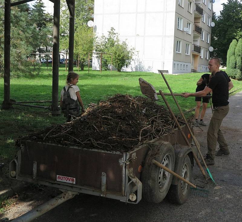 Údržba čapích hnízd se dělá každý rok.