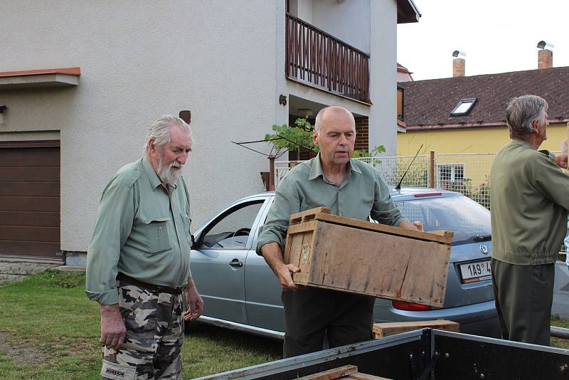 Myslivci vypustili do přírody 40 zajíců.