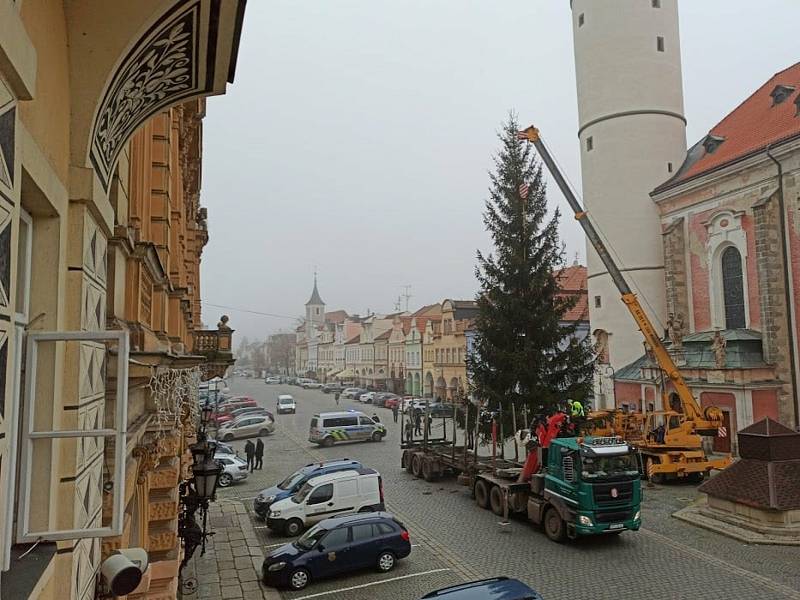 Vánoční smrk na náměstí v Domažlicích.