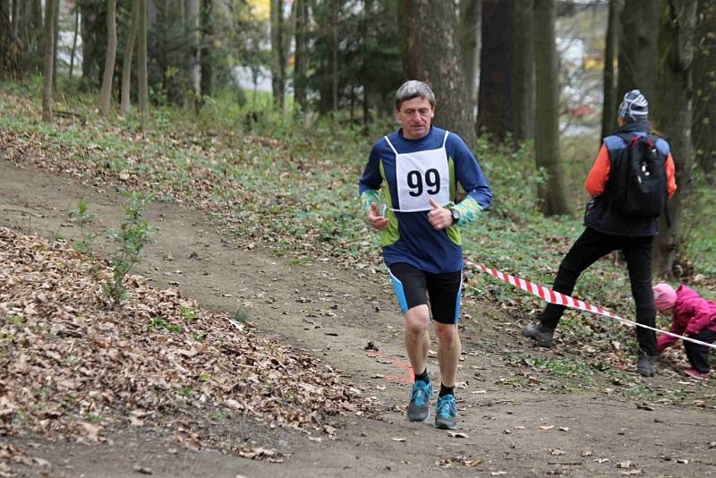 Závod Běh Škarmanem 2015 v Domažlicích.