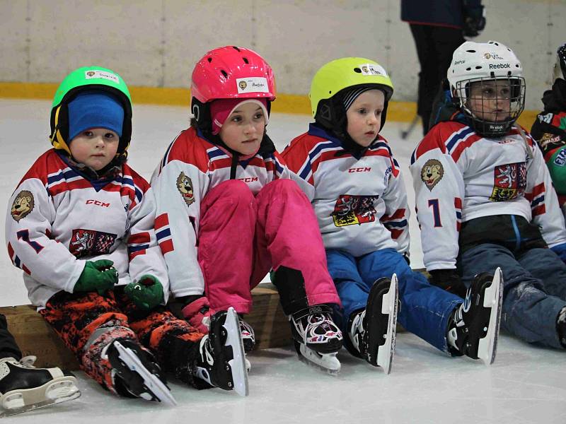 HC Domažlice spolu s hokejovým svazem pořádal náborovou a prezentační akci Pojď hrát hokej!