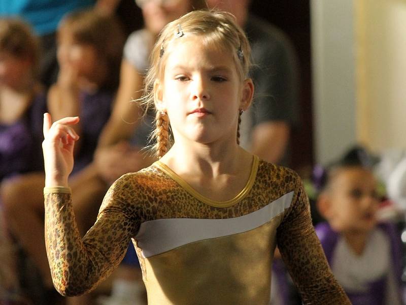 Cena Chodska ve sportovní gymnastice v Domažlicích. 