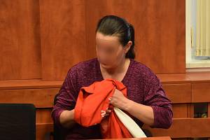 Matka, obžalovaná z dlouhodobého týrání dcery, u Okresního soudu v Domažlicích.