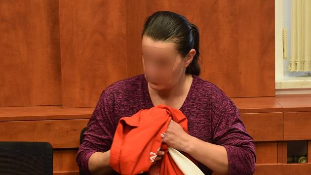 Matka, obžalovaná z dlouhodobého týrání dcery, u Okresního soudu v Domažlicích.