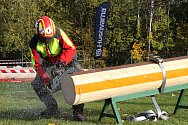 Profesionální dřevorubci soutěžili v pěti disciplínách.