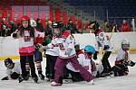 HC Domažlice spolu s hokejovým svazem pořádal náborovou a prezentační akci Pojď hrát hokej!