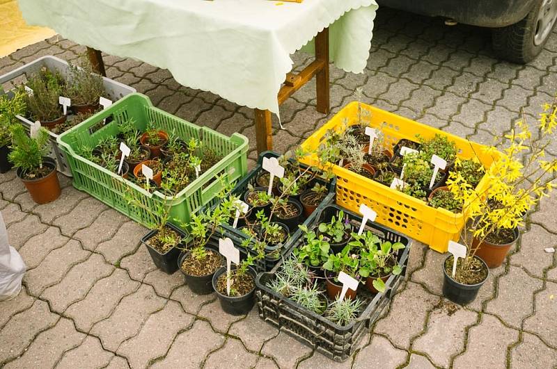 Farmářské trhy v Poděbradově ulici v Domažlicích.