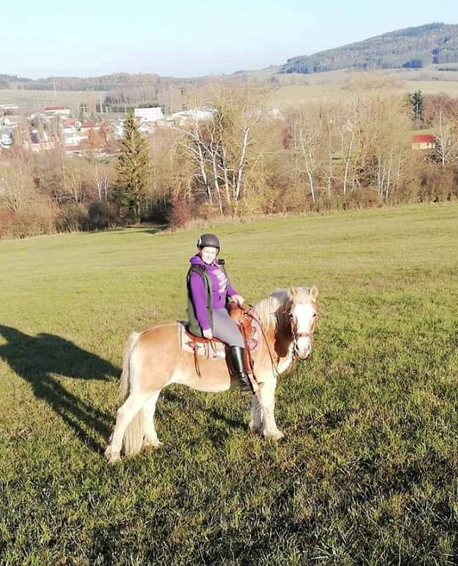 Klisna haflinga bohužel uhynula.