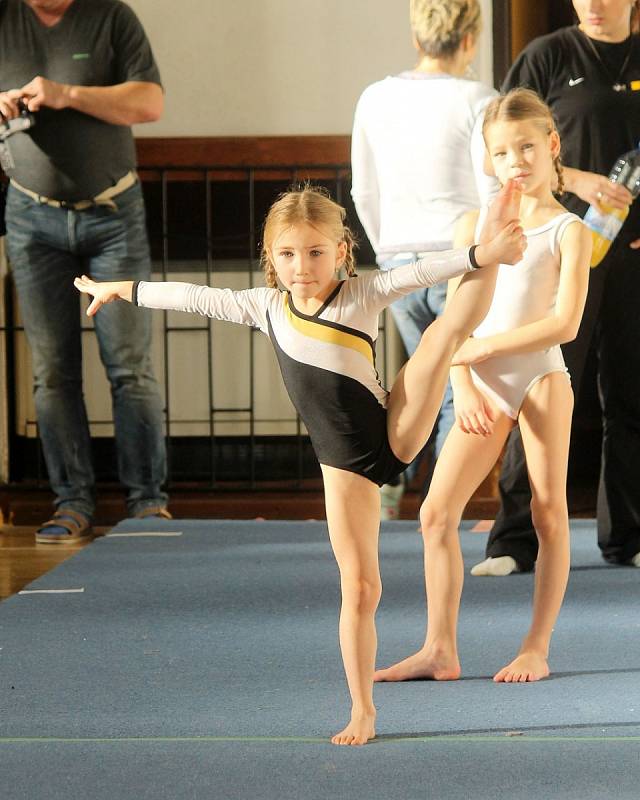 Cena Chodska ve sportovní gymnastice v Domažlicích. 